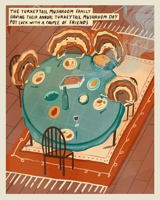 Illustration of turkeytail mushrooms dining around a table by Grace Lanksbury