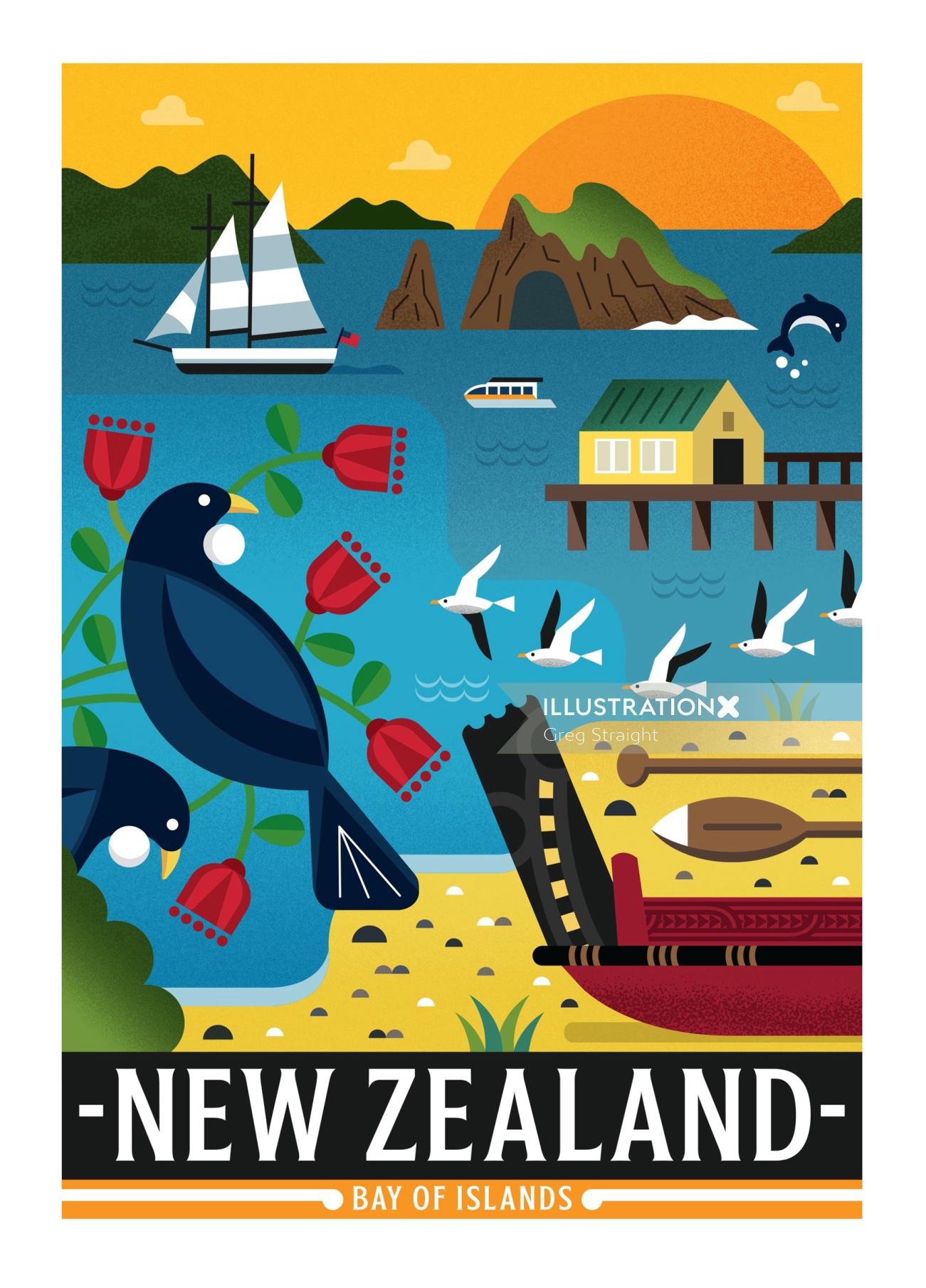 Graphic birds in newzealand
