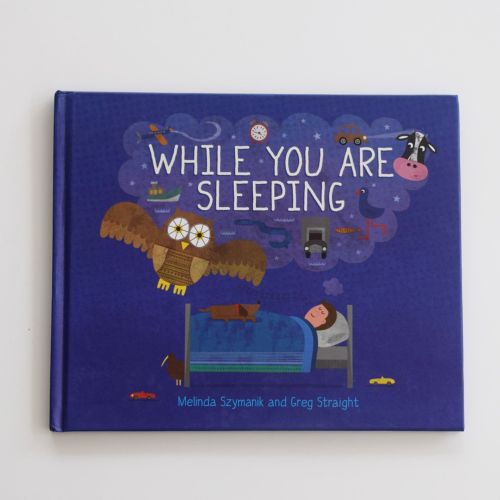 While you are sleeping book cover illustration