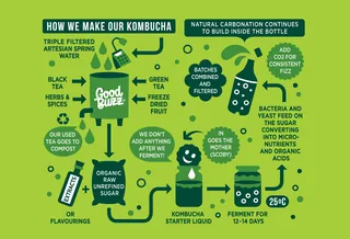 Illustration of kombucha brewing process with ingredients and steps by Greg Straight