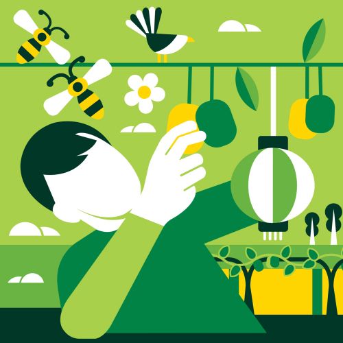 Graphic design of Kiwi fruit crops