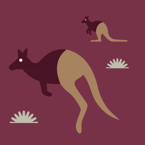 Digital painting of animal Kangaroo