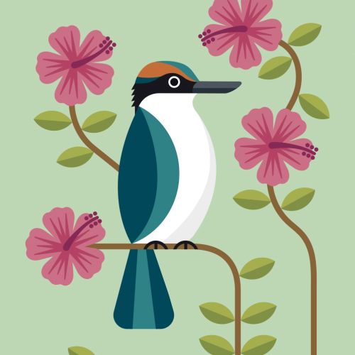 Kiwi bird vector art 