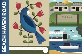 Illustration of tui bird, Tui Park sign, and ferry by Greg Straight