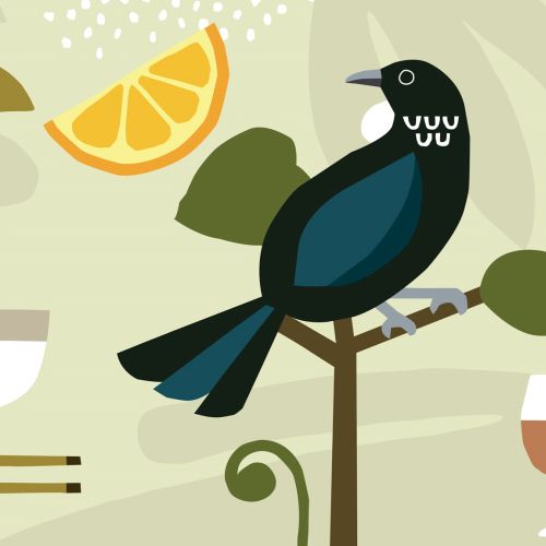 Hand drawing of Tui bird for Oku New Zealand Tea