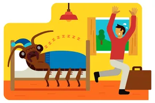 Illustration of a sleeping bedbug on bed and surprised man waking up