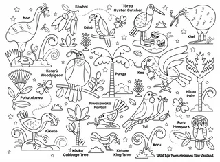 Line drawing of New Zealand birds and native plants labeled with names