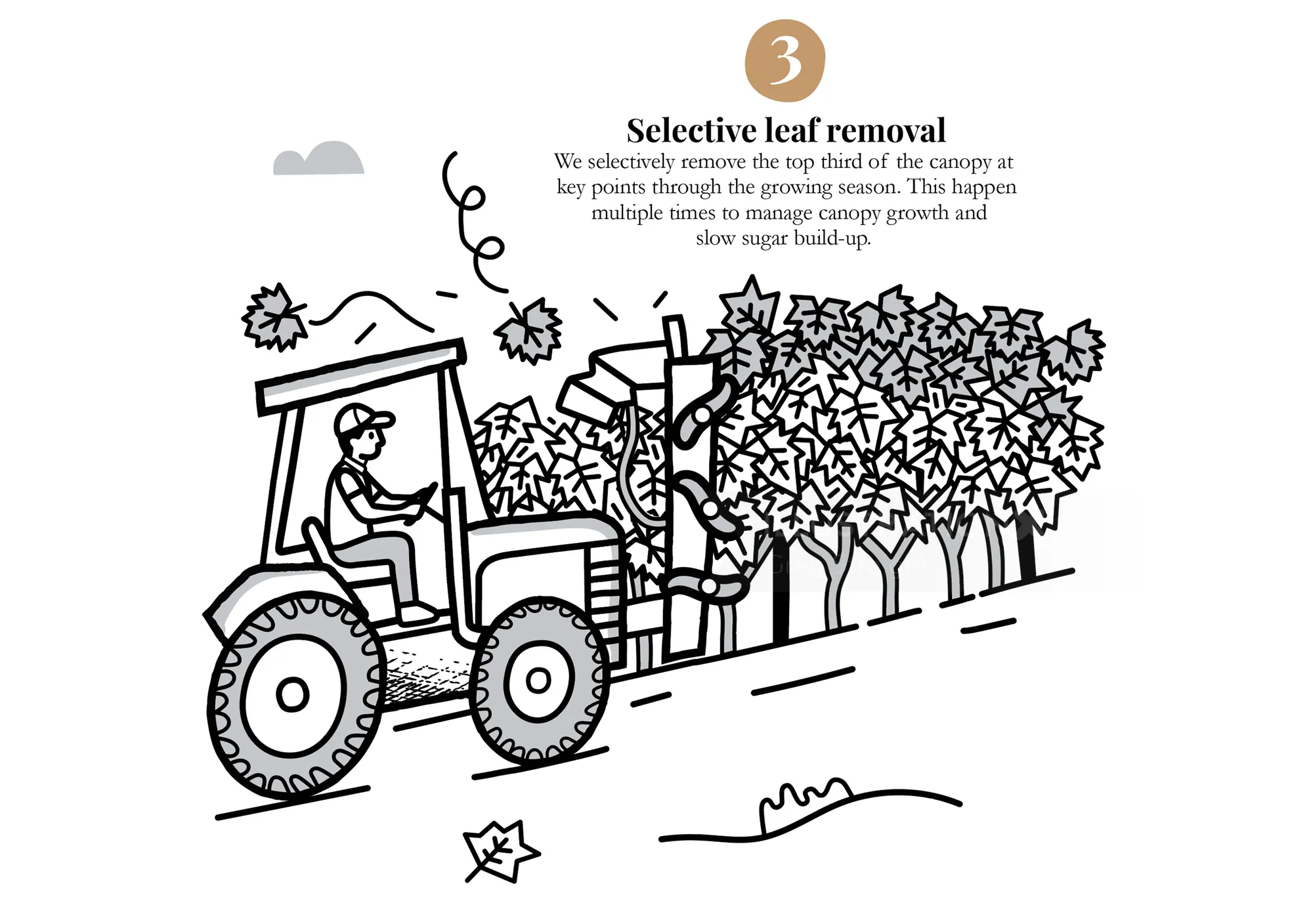 Black and white drawing of tractor spraying crops with driver by Greg Straight
