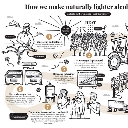 Greg Straight Infografía Illustrator from New Zealand