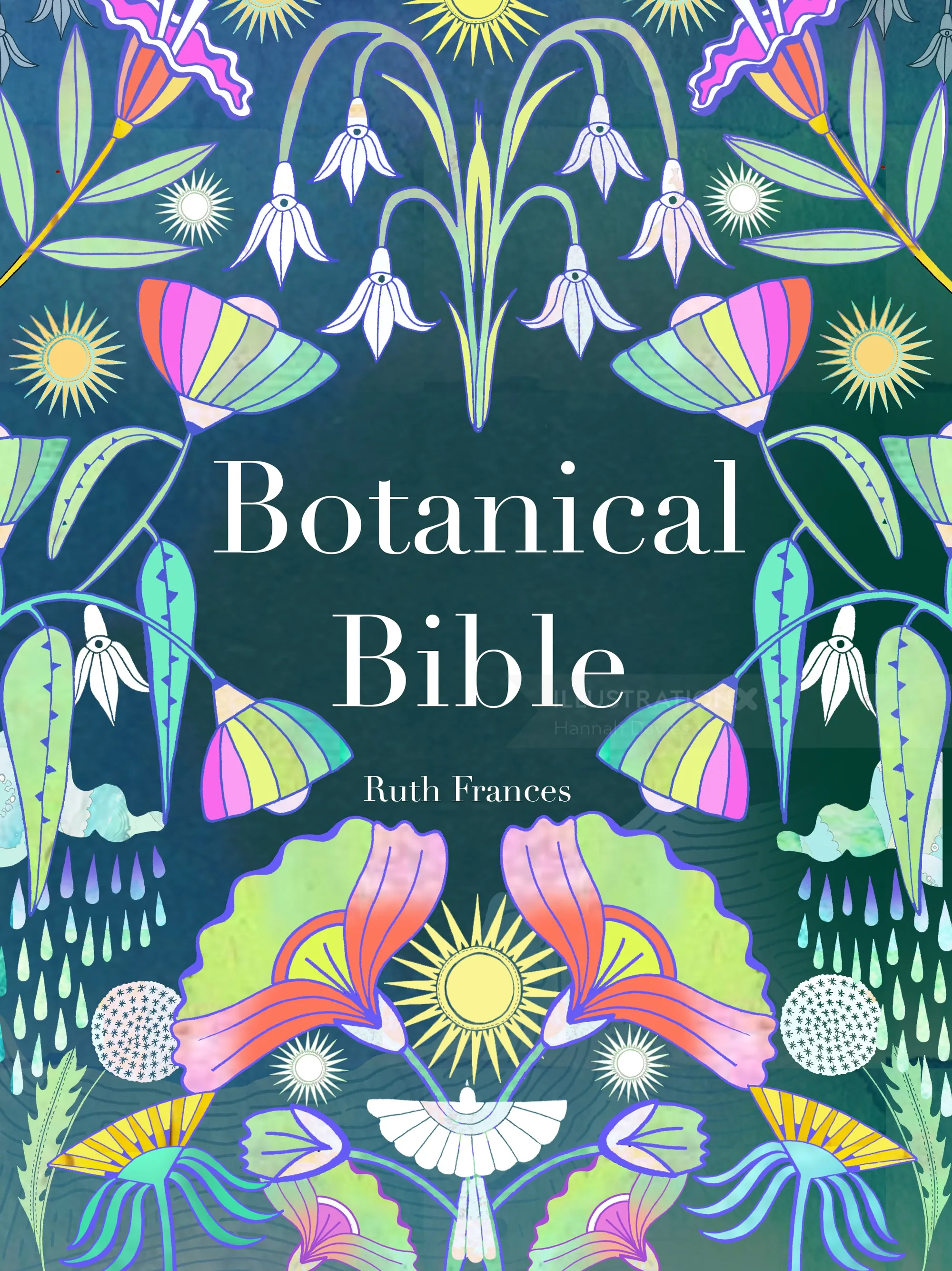 Colorful botanical book cover illustration by Hannah Davies