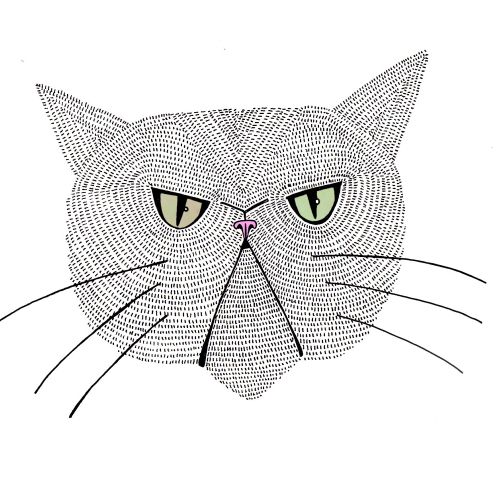 Line art illustration of a cat's head with green eyes by Hannah Davies