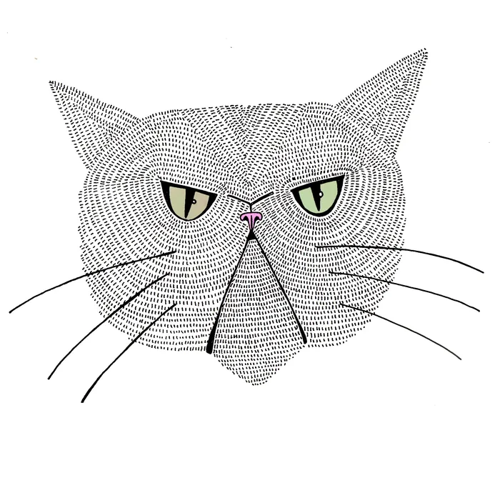 Line art illustration of a cat's head with green eyes by Hannah Davies