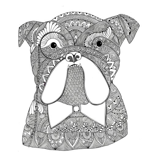 Black and white patterned boxer dog illustration by Hannah Davies