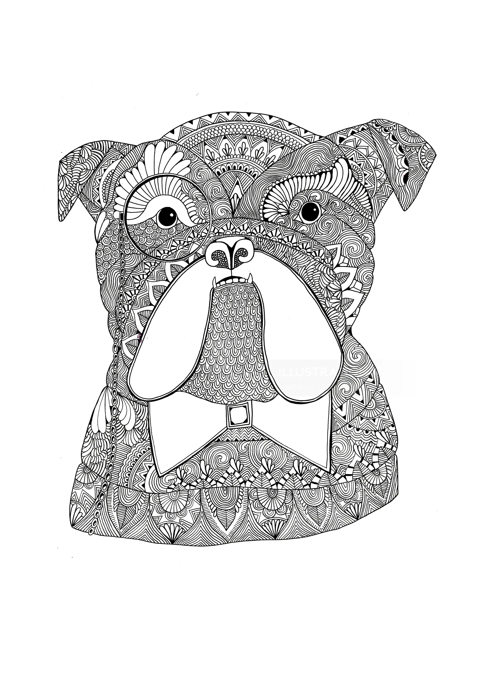 Black and white patterned boxer dog illustration by Hannah Davies