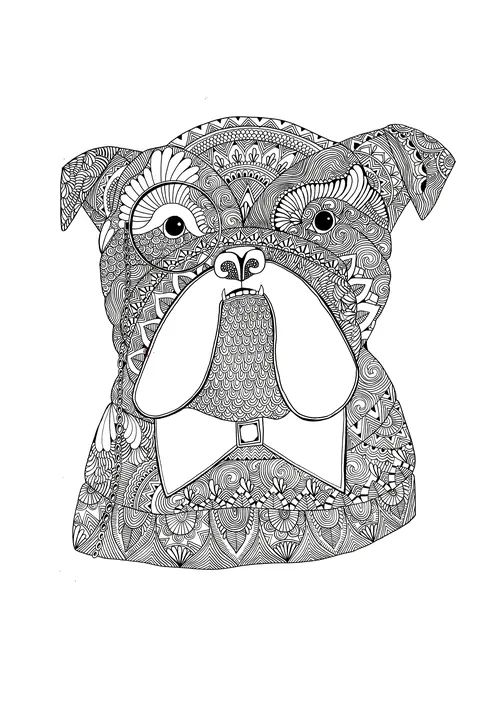 Black and white patterned boxer dog illustration by Hannah Davies
