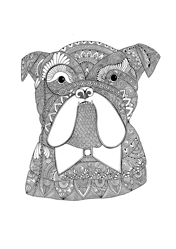 Black and white patterned boxer dog illustration by Hannah Davies