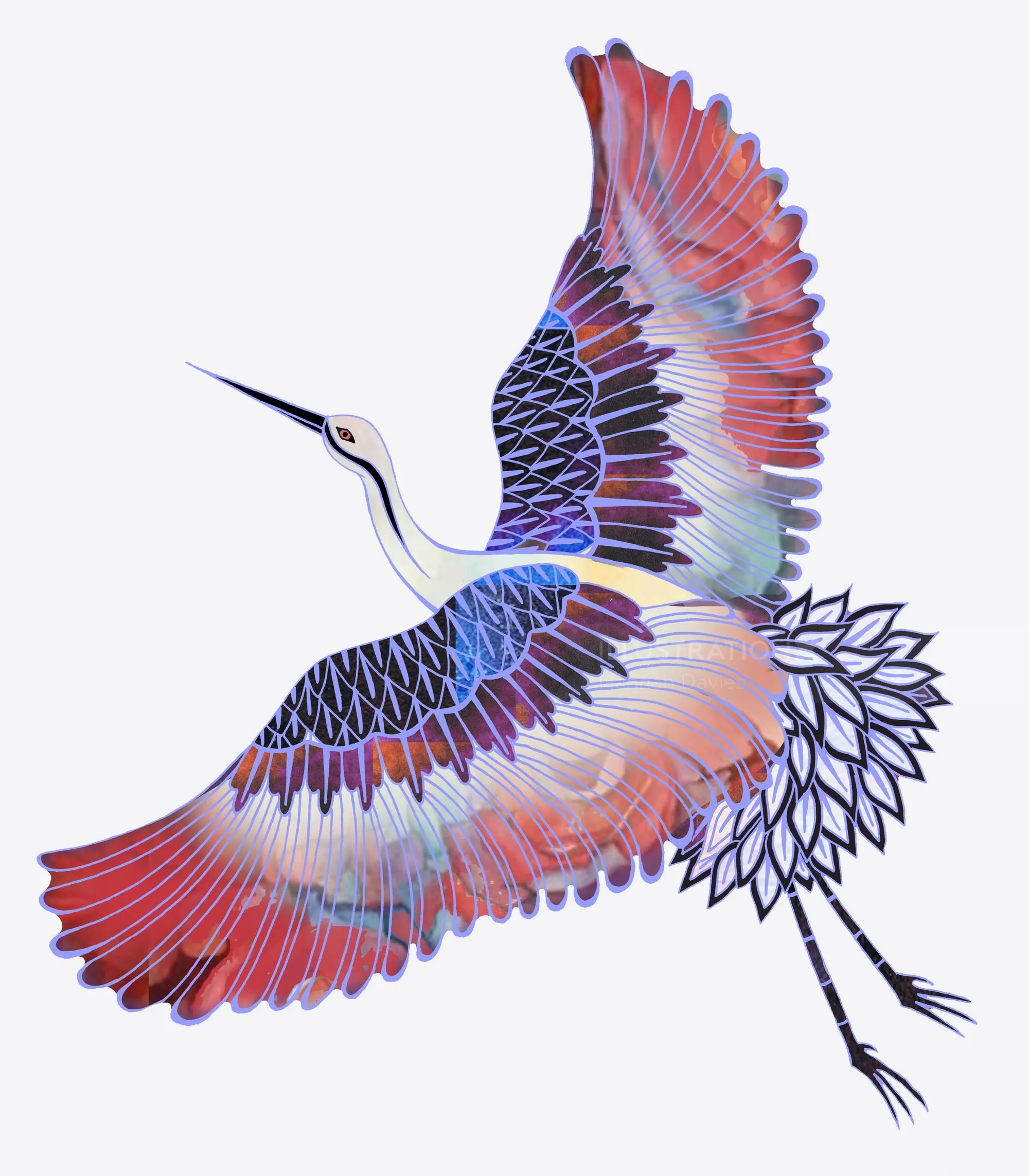 Colorful crane with detailed wings in flight by Hannah Davies