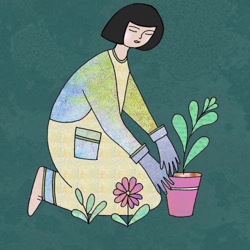 Woman gardening, planting a small green plant in pink pot