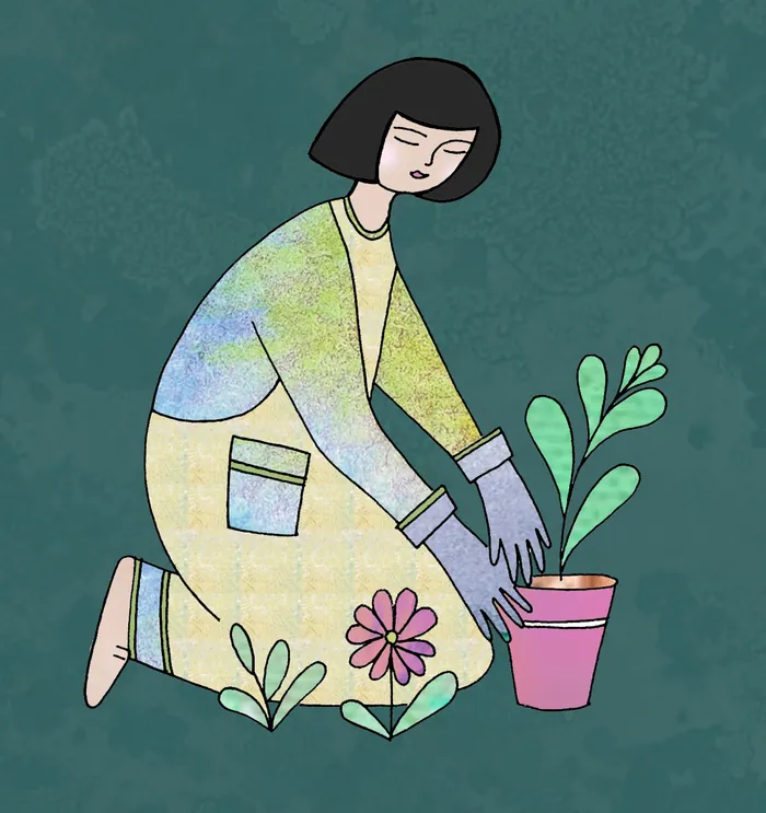 Woman gardening, planting a small green plant in pink pot