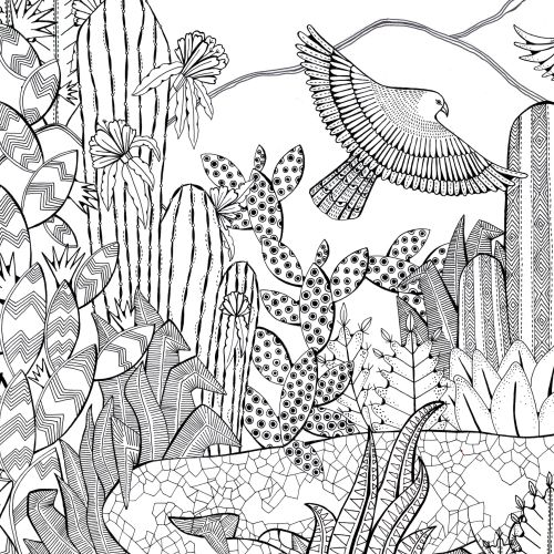 Black and white desert illustration with lizards, birds, and various cacti plants.