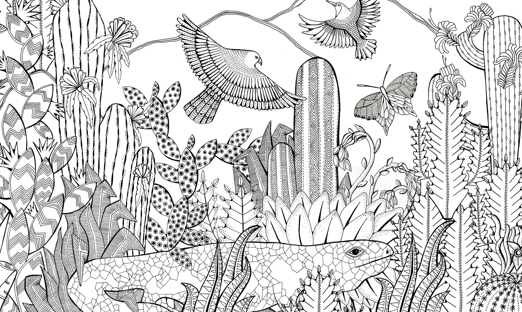 Black and white desert illustration with lizards, birds, and various cacti plants.