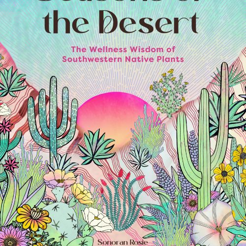 Illustration of desert plants with colorful background and wellness text