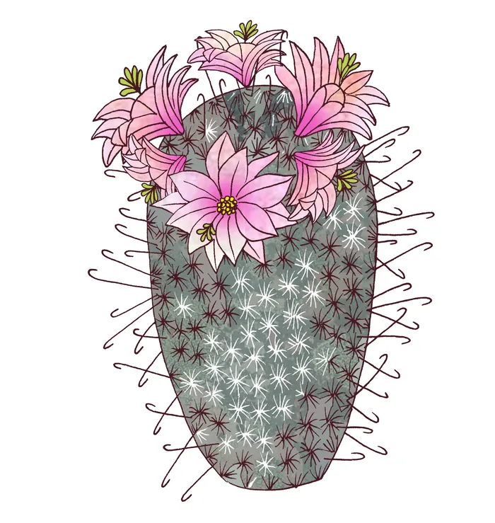 Tall cactus with spines and pink flowers blooming on top