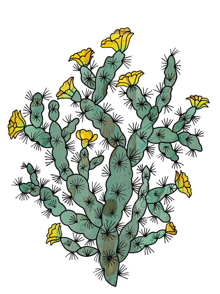 Flowering prickly pear cactus with yellow flowers and green pads