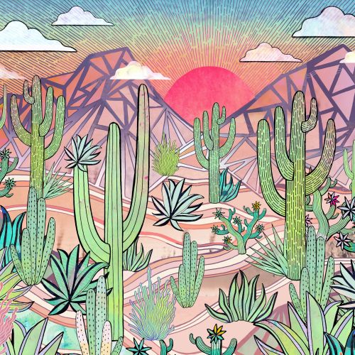 Colorful illustration of Sonoran Desert with cacti and mountains at sunset