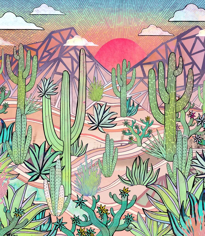 Colorful illustration of Sonoran Desert with cacti and mountains at sunset