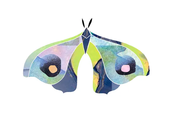 Abstract colorful butterfly artwork with blue and green hues