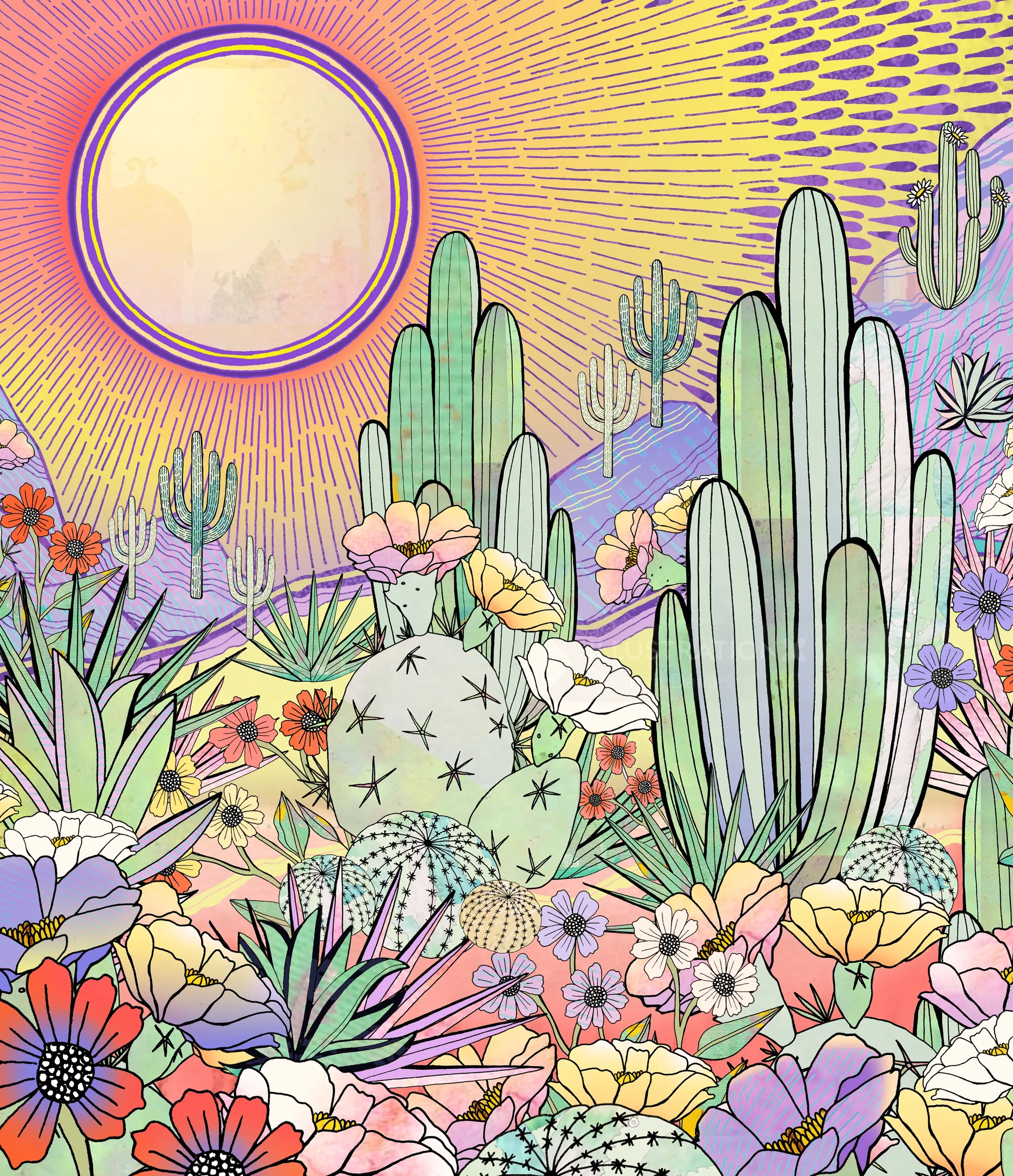 Colorful desert cactus and flowers with bright sun illustration by Hannah Davies