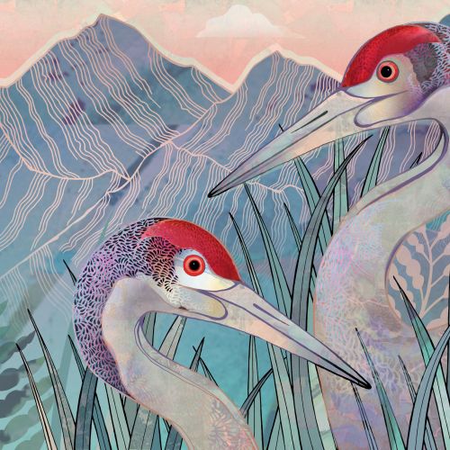 Hannah Davies Nature Illustrator from United Kingdom