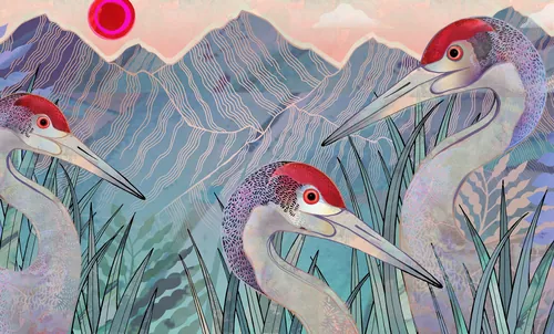 Hannah Davies illustration of three cranes among reeds with mountains behind them