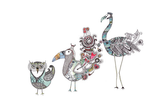 汉娜·戴维斯（Hannah Davies）的鸟类插图