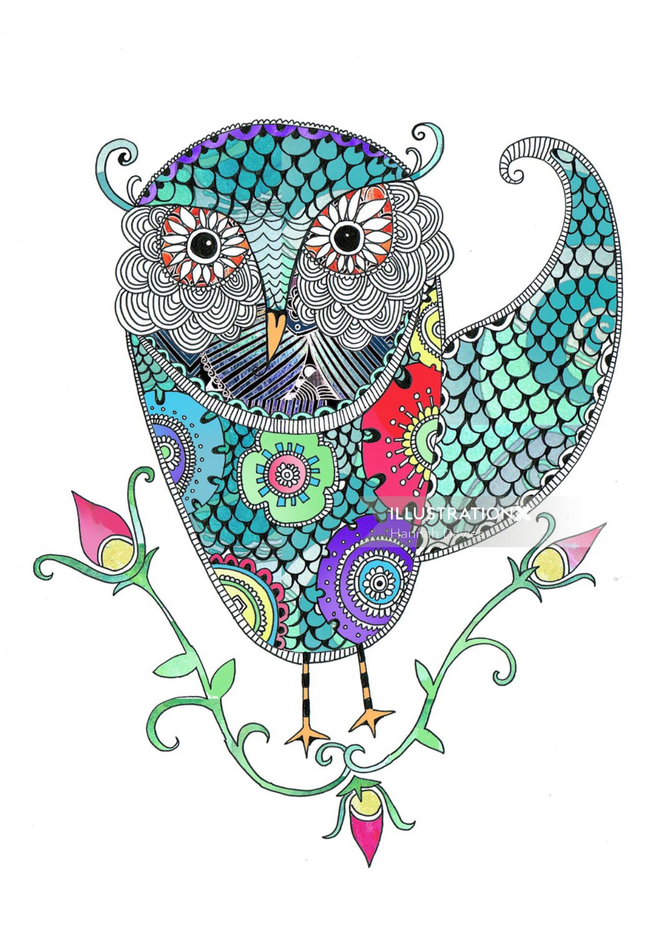 Owl illustration by Hannah Davies