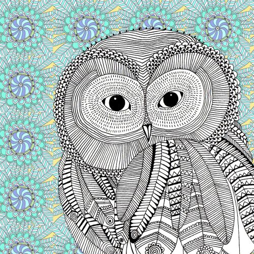 Owl in black and white - An illustration by Hannah Davies