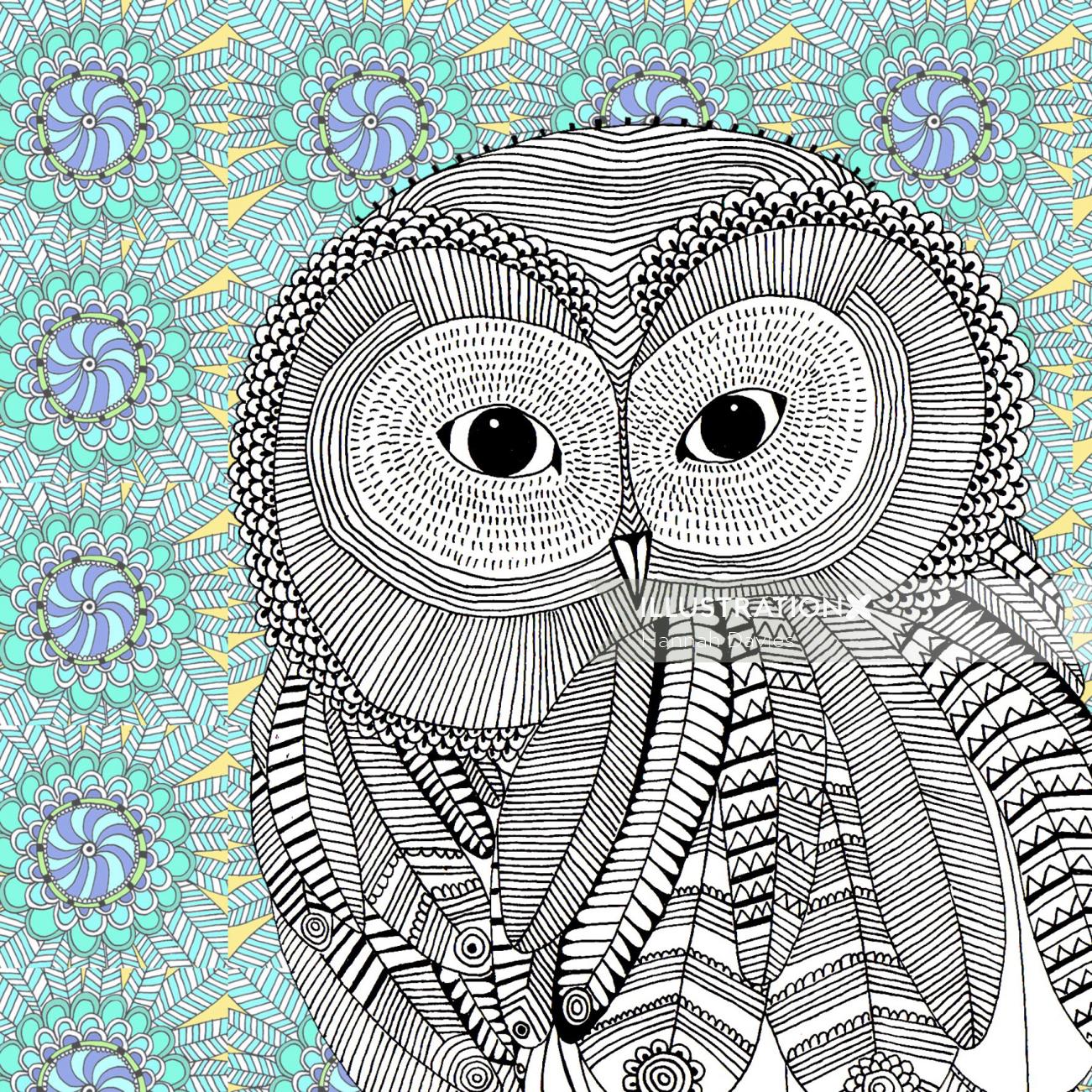 Owl in black and white - An illustration by Hannah Davies