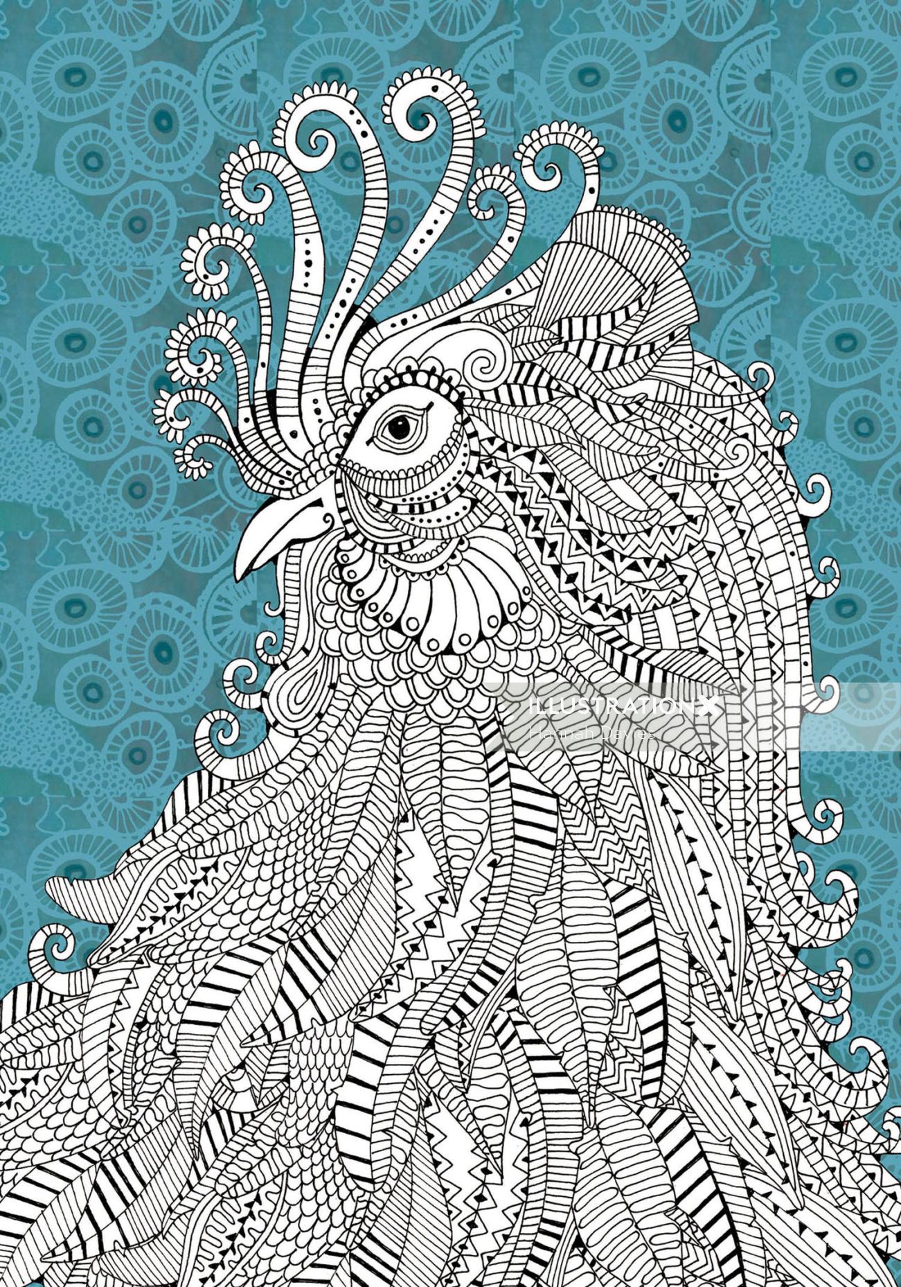 Cockerel illustration by Hannah Davies