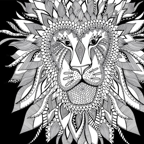 Lion black and white illustration