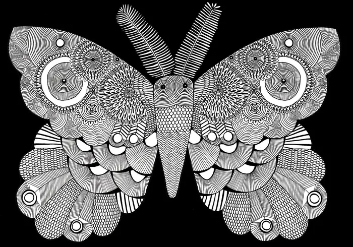 Moth illustration by Davies hannah