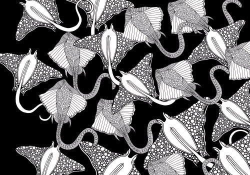 Sting ray black and white illustration