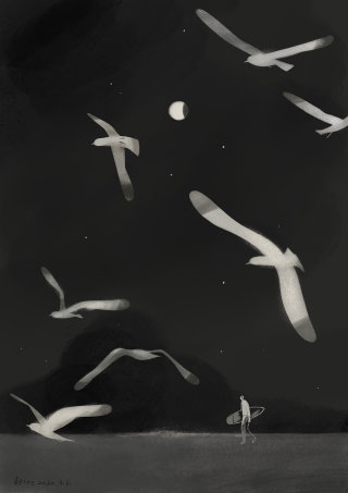 Ilustración en blanco y negro de pájaros en la noche. 
