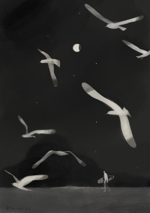 夜晚的鸟的黑白插图
