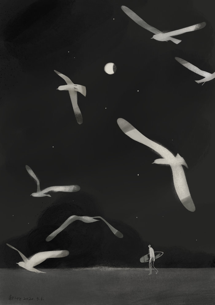 Black and white illustration of birds in night 