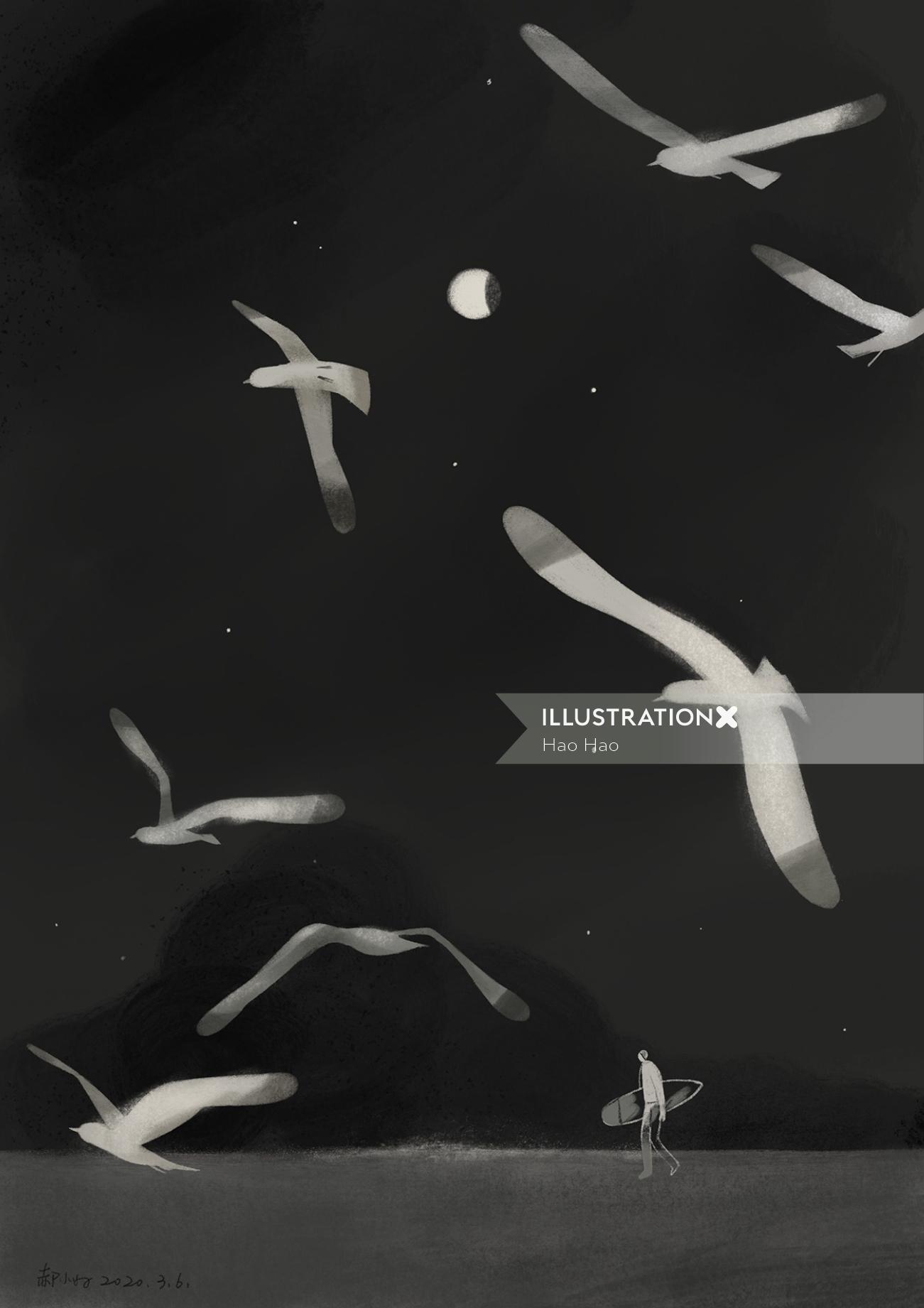 夜の鳥の黒と白のイラスト
