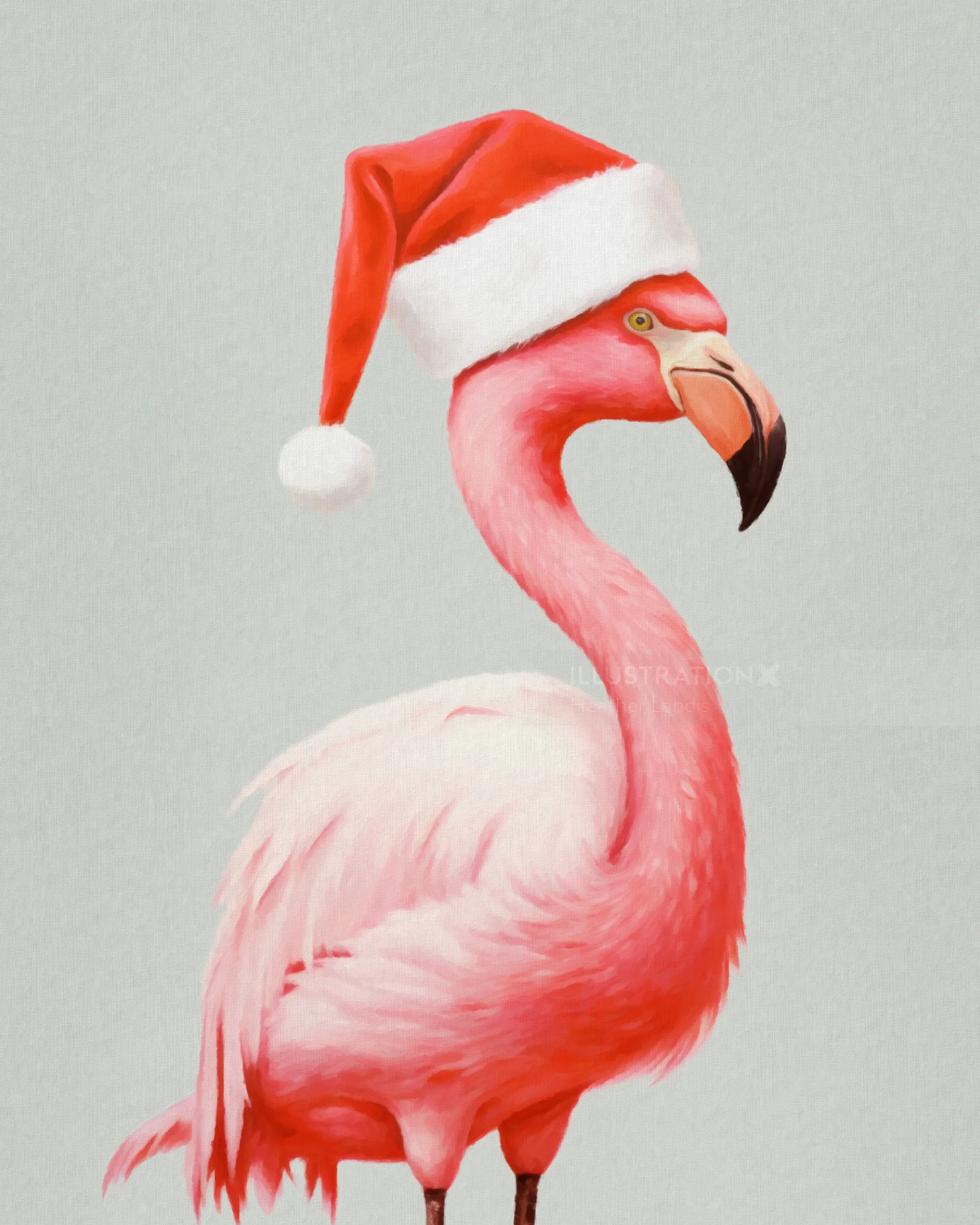 Pink flamingo wearing a red Santa hat by Heather Landis