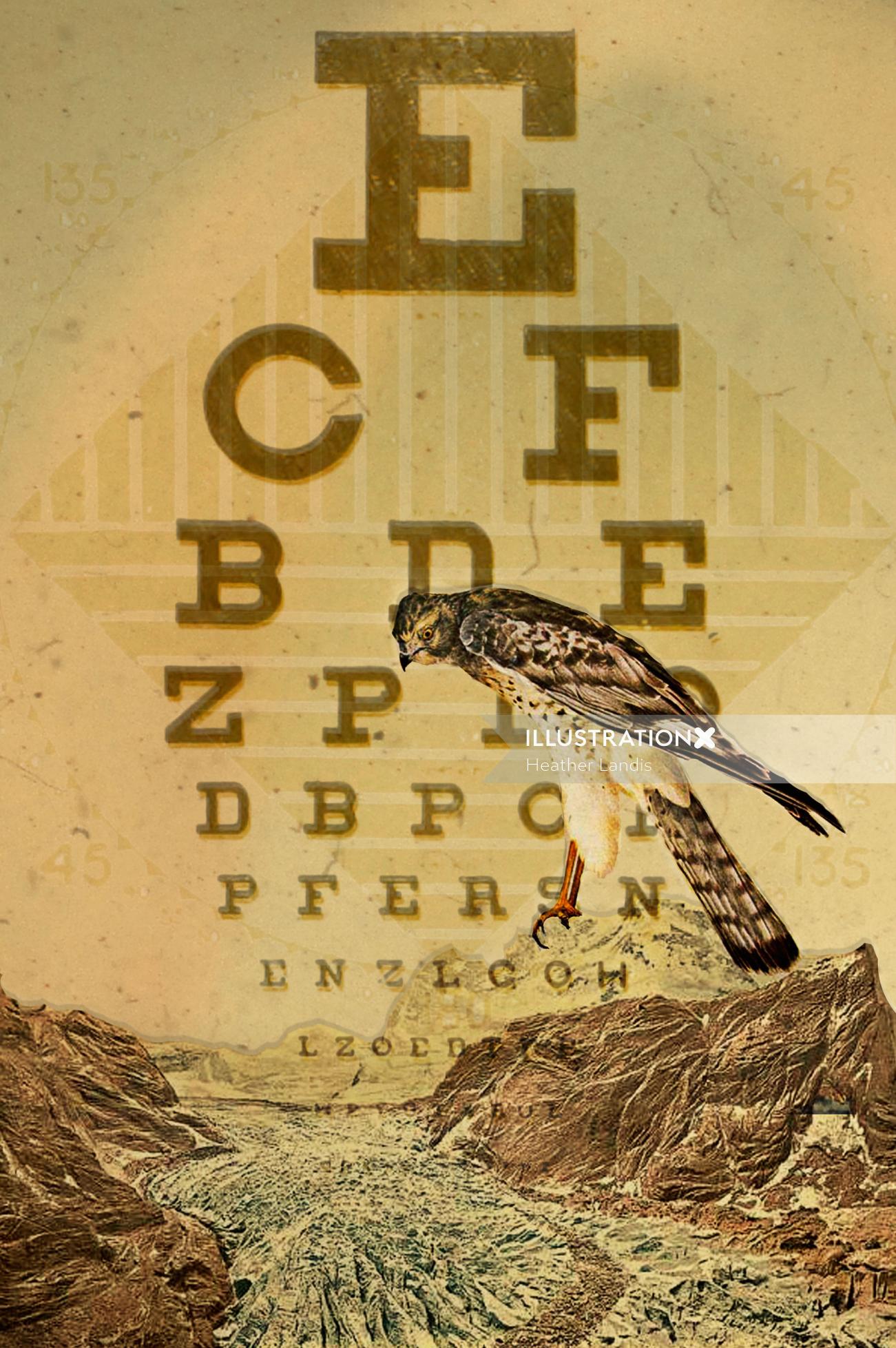 Eye chart lettering art
