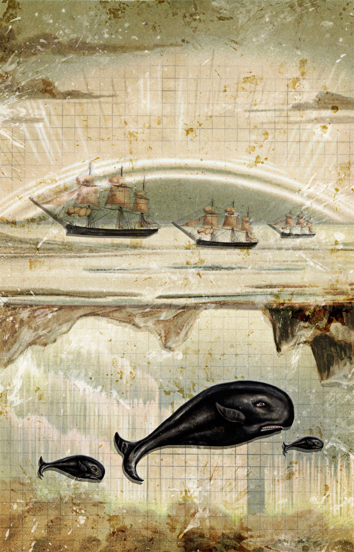 Une illustration des baleines et des navires