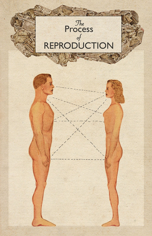 An illustration of process of reproduction